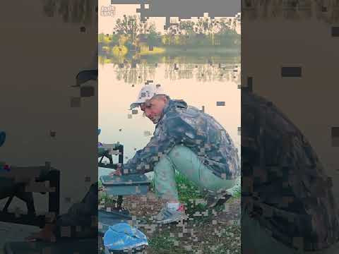 ПРАВДИВЫЕ СЛОВА #assistancetv #рыбалка #fishing #рыбалканаозере #рыбалканафидер #поплавок ПРАВДИВЫЕ СЛОВА #assistancetv #рыбалка #fishing #рыбалканаозере #рыбалканафидер #поплавок