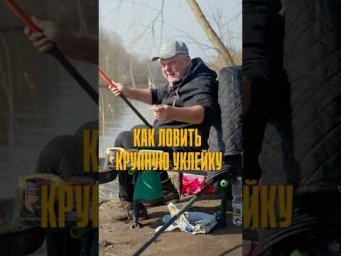Как ловить крупную уклейку?