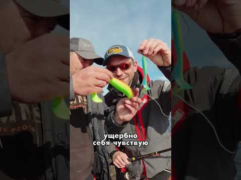 День 19✅ Успели НАПОРОТЬ ЩУК до запрета на Рыбинском водохранилище