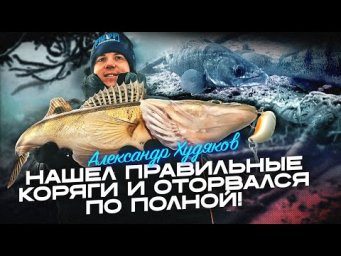 Техника поиска и ловли судака на вибы в корягах. ПОДВОДНАЯ СЪЕМКА и РЫБОЛОВНЫЕ ЛАЙФХАКИ