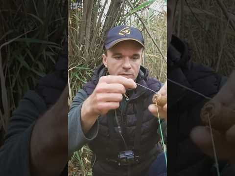 Поводок на ЩУКУ #assistancetv #рыбалка #fishing #щука #поплавок #нареке #carpfishing #рыбалкана Поводок на ЩУКУ #assistancetv #рыбалка #fishing #щука #поплавок #нареке #carpfishing #рыбалкана