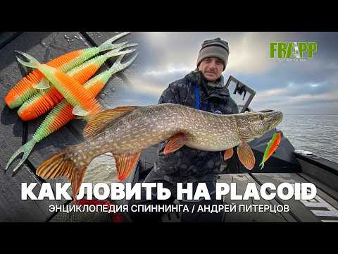 Уникальная приманка от Чемпионов Мира - Frapp Placoid | Энциклопедия спиннинга Уникальная приманка от Чемпионов Мира - Frapp Placoid | Энциклопедия спиннинга