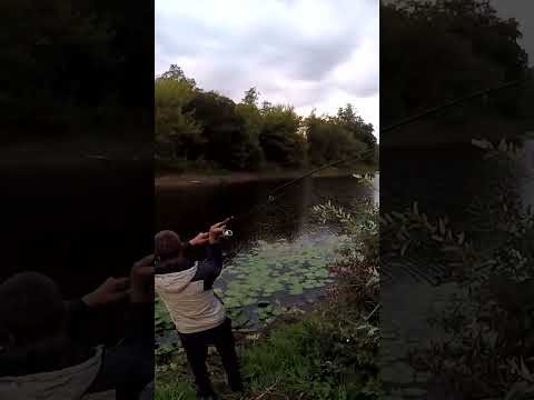 Дімон МОЧИТЬ, Рибак як він Є #shorts #рибалка #карась Дімон МОЧИТЬ, Рибак як він Є #shorts #рибалка #карась