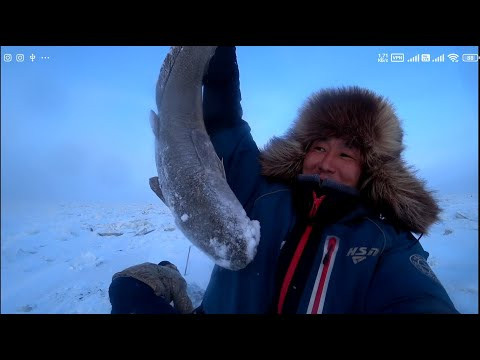 ВДРУГ ИЗ ПРОРУБИ ПОЯВИЛАСЬ ПАСТЬ. ЛОВИМ РЯПУШКУ