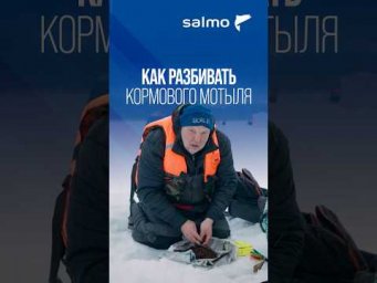 Как разбивать кормового мотыля зимой?