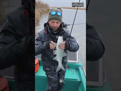 Смотрите новый выпуск о нашей поездке в Астрахань