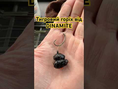 Тигровий горіх від DINAMITE BAITS
