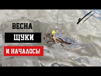 И НАЧАЛОСЬ! АЗАРТ БОРЬБЫ, БЛЕСК ЧЕШУИ НА СОЛНЦЕ, АДРЕНАЛИНОВЫЙ ВСПЛЕСК ОТ КАЖДОЙ ПОЙМАННОЙ ХИЩНИЦЫ