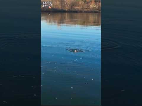 ВЗРЫВНОЙ НОЯБРЬ #assistancetv #fishing #рыбалка #поплавок #осень #ультралайт ВЗРЫВНОЙ НОЯБРЬ #assistancetv #fishing #рыбалка #поплавок #осень #ультралайт