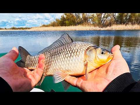 Караси кабаны на поплавок! Рыбалка в кайф на удочку! Караси кабаны на поплавок! Рыбалка в кайф на удочку!