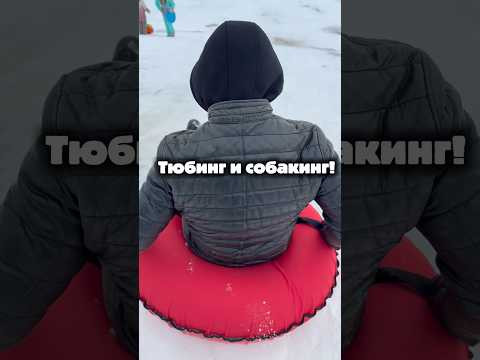 Тюбинг и собакинг! Еще один чудесный день! #счастьевпростом  #какдети