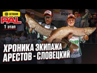 Хроника выступления экипажа Арестов - Словецкий. BETBOOM PAL 2026. 1 этап