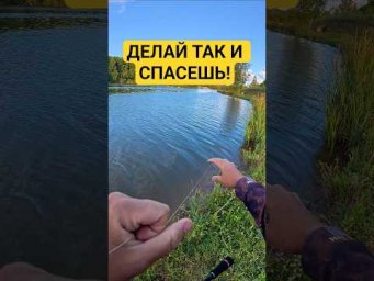 Рабочий способ спасения приманки из зацепа! #рыбалка