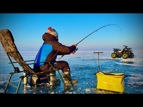 Відкрився на ФІДЕР! ОГРОМЕЗНІ БАТОНИ КЛЮЮТЬ ДУПЛЕТАМИ!!!