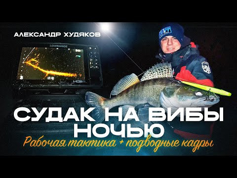 Ловля судака ночью со льда на вибы. Полный гайд + подводная съёмка Ловля судака ночью со льда на вибы. Полный гайд + подводная съёмка
