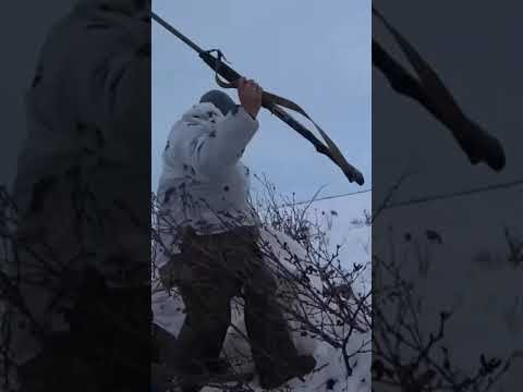 Охота на гуся на севере. #охотанагуся #goosehunting #охота