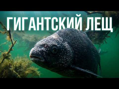 Встреча с трофейной  рыбой в водах карьера.