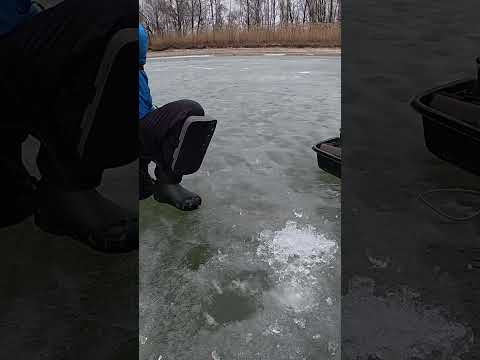 Сазан на боковий кивок зимою ЧАСТИЙ ГІСТЬ  #рибалка #сазан  #короп
