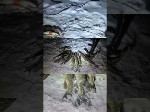 Щучка 3кг