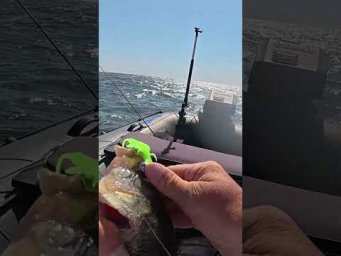 Кабани на нього #shorts #fishing #short