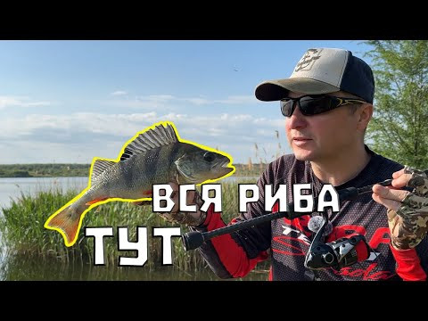 ОКУНЬ-Манія! Найкращі Місця. Уловиста снасть для риболовлі на спінінг. ОКУНЬ-Манія! Найкращі Місця. Уловиста снасть для риболовлі на спінінг.