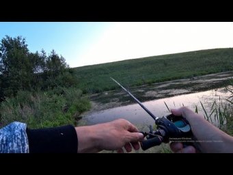 ЩУКА В ЛУЖЕ 5х5 глубиной 20 см! Рыбалка на спиннинг.