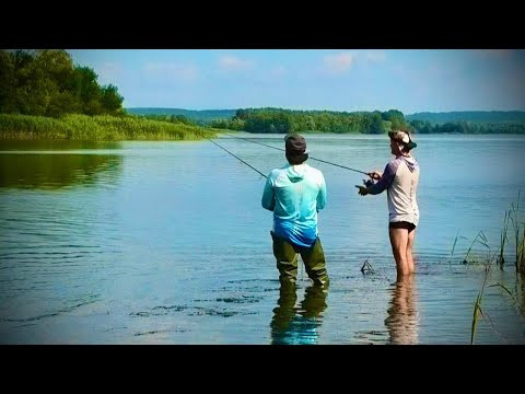 Берегова РИБАЛКА В ЗАБРОД! Шо ПІЙМАЛИ то і ЗЇЛИ!!!