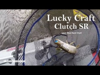 Ловля щуки осенью на воблер. Clutch SR от Lucky Craft