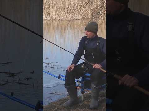 Золотые ПРАВИЛА и личный ОПЫТ #рыбалка #весенняярыбалка #assistancetv #рыбалкаудалась #фидер Золотые ПРАВИЛА и личный ОПЫТ #рыбалка #весенняярыбалка #assistancetv #рыбалкаудалась #фидер