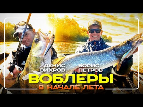 Шикарная рыбалка на воблеры в июне! Судак, щука, жерех, окунь!