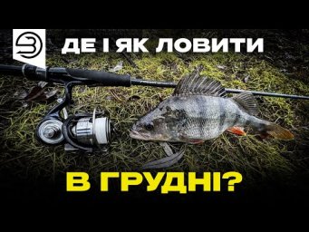 ОКУНЬ на затоці ДЕСНИ: Як спіймати на мікроджиг за пару годин?