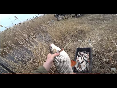 Язь на железяку, на каждом забросе. Рыбалка в дикой Сибири Язь на железяку, на каждом забросе. Рыбалка в дикой Сибири