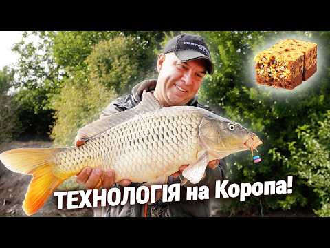Рибалка на Коропа та Карася по ТЕХНОЛОГІЇ