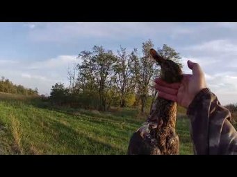 Продолжаем охотить утку