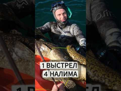 4 НАЛИМА одним выстрелом 