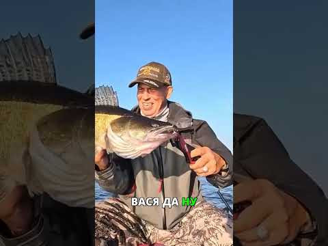 Почему отпускаем рыбу? Главная причина! Почему отпускаем рыбу? Главная причина!