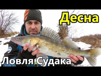 Дочекались Виходу Судака. Ловля Судака в Грудні