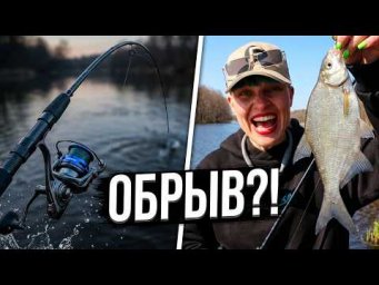 Рыбалка на бюджетный фидер: ОБРЫВ НА ПОДСЕЧКЕ! Ушла от ветра в лесную тишину | Выпуск 561