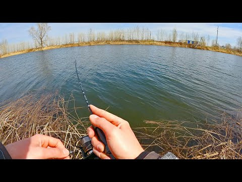 Под берег пришла ИКРЯНАЯ ПЛОТВА! Эффективный МОРМЫШИНГ на спиннинг до 0.8 г !! Под берег пришла ИКРЯНАЯ ПЛОТВА! Эффективный МОРМЫШИНГ на спиннинг до 0.8 г !!