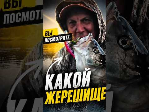 ZipBaits Rigge Flat 80 ЛОВИТ и с первого заброса, и с ТРАВОЙ НА КРЮЧКАХ! #teammida #zipbaits