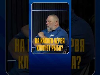 На какого червя клюнет рыба?