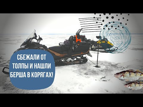 СБЕЖАЛИ ОТ ТОЛПЫ И НАШЛИ БЕРША В КОРЯГАХ!!! РЫБАЛКА ПО-НОВОМУ С PANOPTIX