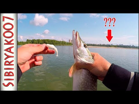 Ребята, кто оставил?)).. Джиг с лодки на реке. Щука и судак на Русскую Фишку