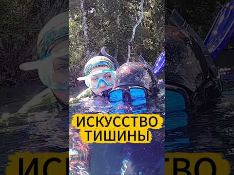 Один ШАНС. Один ВЫСТРЕЛ Один ШАНС. Один ВЫСТРЕЛ