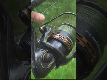 Никогда не давай слабину #рыбалка #assistancetv #фидер  #fishing #напоплавок #карась #рыбалканафидер