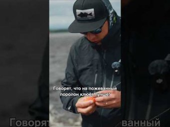 Секрет удовистого поролона. #hotspotzander