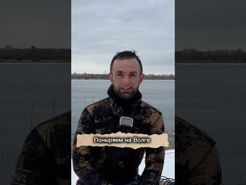 Поныряем друзья на Волге? #подводнаяохота  #подводнаяохотаволга  #обучениеподводнойохоте