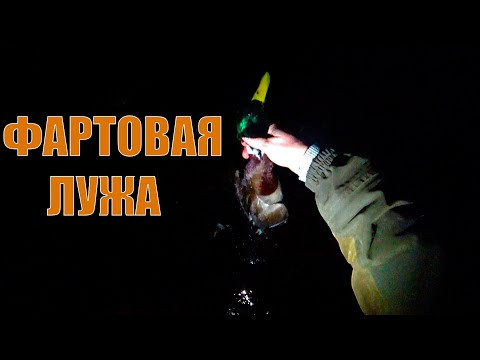 ОХОТА НА СЕЛЕЗНЯ НА ФАРТОВОЙ ЛУЖЕ
