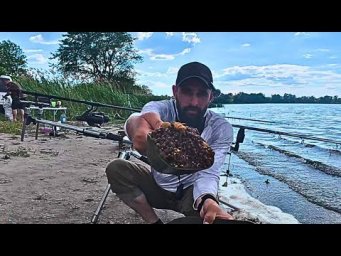 !!! Рижі САЗАНИ Полюбляють ЦЕ !!! Рибалка на ДИКАРІ