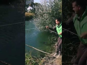 ПАУК&ЖИВЕЦ=ПиПеЦ   #assistancetv #fishing #рыбалканаживца  #отводнойнаживца  #Поплавокнаживца